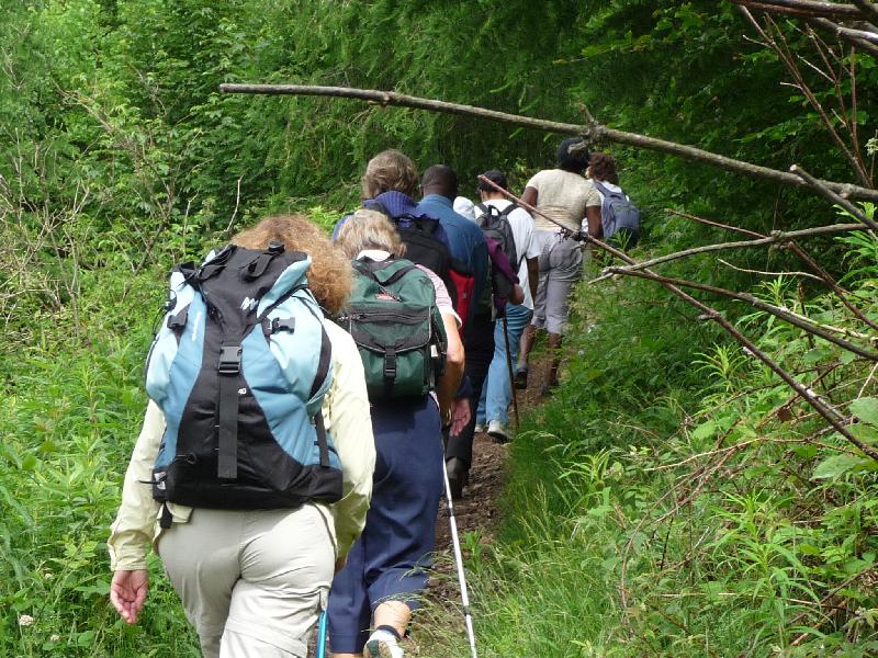 2 Sur le sentier.JPG - JMPP du 1er juin 2008 - sur le sentier